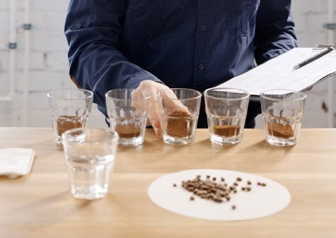 ¿Qué son las notas de cata en el café?