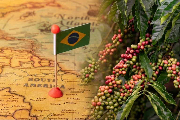 Imagen representativa del café de Brasil