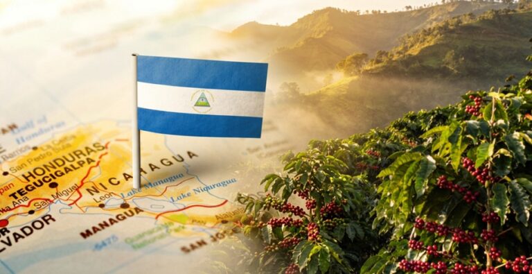 Café de Nicaragua: un origen que merece mucho más reconocimiento